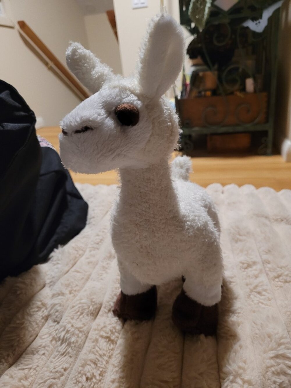 webkinz Llama 3/$25